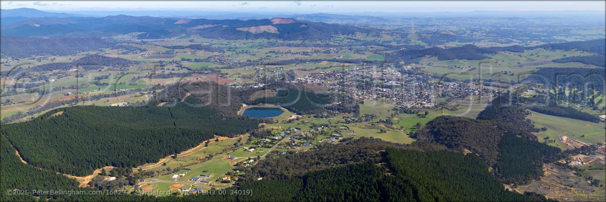 Peter Bellingham Photography Myrtleford - VIC (PBH3 00 34019)